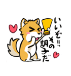 実家犬モミジちゃん3-感謝と応援-（個別スタンプ：15）