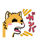 実家犬モミジちゃん3-感謝と応援-（個別スタンプ：16）