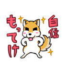 実家犬モミジちゃん3-感謝と応援-（個別スタンプ：19）