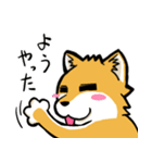 実家犬モミジちゃん3-感謝と応援-（個別スタンプ：20）