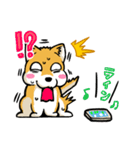 実家犬モミジちゃん3-感謝と応援-（個別スタンプ：24）