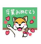 実家犬モミジちゃん3-感謝と応援-（個別スタンプ：28）