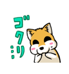 実家犬モミジちゃん3-感謝と応援-（個別スタンプ：29）