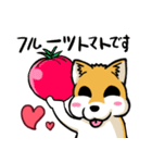 実家犬モミジちゃん3-感謝と応援-（個別スタンプ：30）