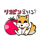 実家犬モミジちゃん3-感謝と応援-（個別スタンプ：31）