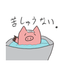 neobuta2（個別スタンプ：16）