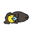わほくん（個別スタンプ：4）