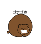まんまるくまくん（個別スタンプ：29）