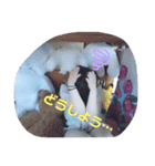 ペンギンちゃん日常（個別スタンプ：4）
