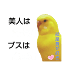 インコのMAXくん9（個別スタンプ：1）