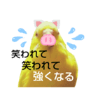 インコのMAXくん9（個別スタンプ：3）