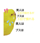 インコのMAXくん9（個別スタンプ：5）