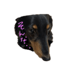 らむにっき そのいち（個別スタンプ：2）