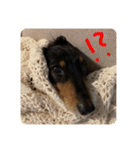 らむにっき そのいち（個別スタンプ：4）