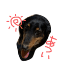 らむにっき そのいち（個別スタンプ：13）