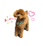 ここあくん♥️（個別スタンプ：1）