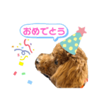 ここあくん♥️（個別スタンプ：7）