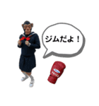 アキバボクシングジムスタンプ（個別スタンプ：33）