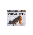 豆5（個別スタンプ：4）