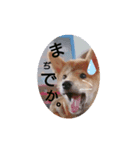 豆5（個別スタンプ：8）