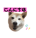 チョコやでPart4（個別スタンプ：12）