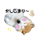 チョコやでPart4（個別スタンプ：14）