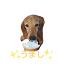 遼くん花ちゃん（個別スタンプ：17）