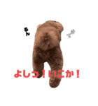 モチカピ（個別スタンプ：1）