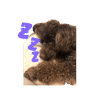 愛犬とらくがき達（個別スタンプ：2）