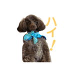 愛犬とらくがき達（個別スタンプ：3）