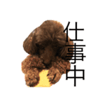 愛犬とらくがき達（個別スタンプ：4）