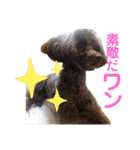 愛犬とらくがき達（個別スタンプ：7）