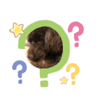 愛犬とらくがき達（個別スタンプ：8）