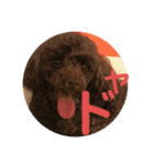 愛犬とらくがき達（個別スタンプ：11）