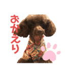 愛犬とらくがき達（個別スタンプ：14）