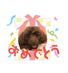 愛犬とらくがき達（個別スタンプ：15）