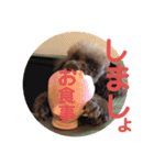 愛犬とらくがき達（個別スタンプ：16）