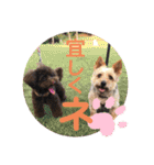 愛犬とらくがき達（個別スタンプ：20）