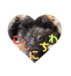 愛犬とらくがき達（個別スタンプ：22）