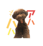 愛犬とらくがき達（個別スタンプ：27）