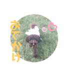 愛犬とらくがき達（個別スタンプ：32）