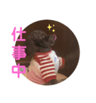 愛犬とらくがき達（個別スタンプ：33）