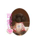 愛犬とらくがき達（個別スタンプ：34）