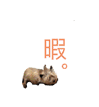 愛犬とらくがき達（個別スタンプ：36）
