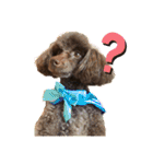 愛犬とらくがき達（個別スタンプ：38）