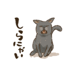 ぶたの生活 ぶたまみれ（個別スタンプ：14）
