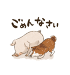 ぶたの生活 ぶたまみれ（個別スタンプ：15）