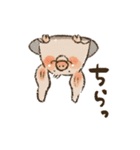 ぶたの生活 ぶたまみれ（個別スタンプ：20）