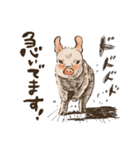 ぶたの生活 ぶたまみれ（個別スタンプ：27）