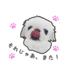 ペキニーズのハナマルヒナタロ（ヒナタロ）（個別スタンプ：32）